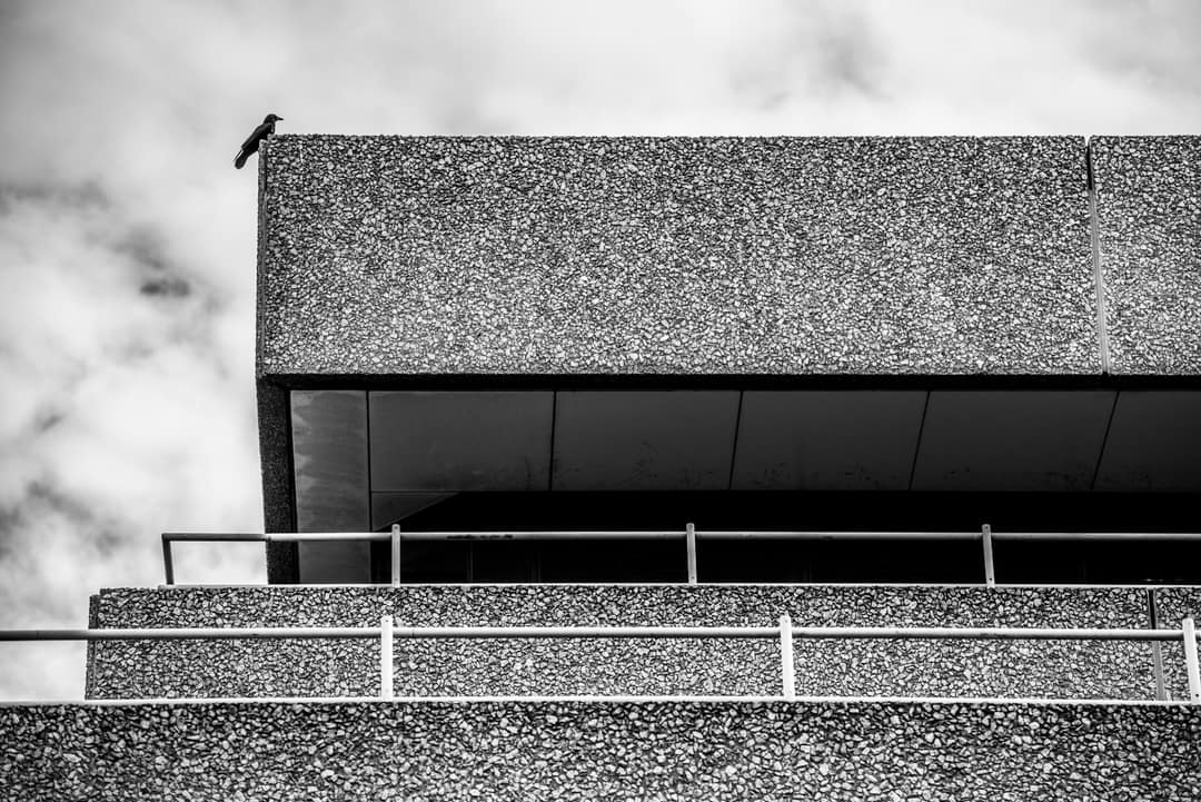 The board-marked concrete terraces of the National Theatre in London, in black and white